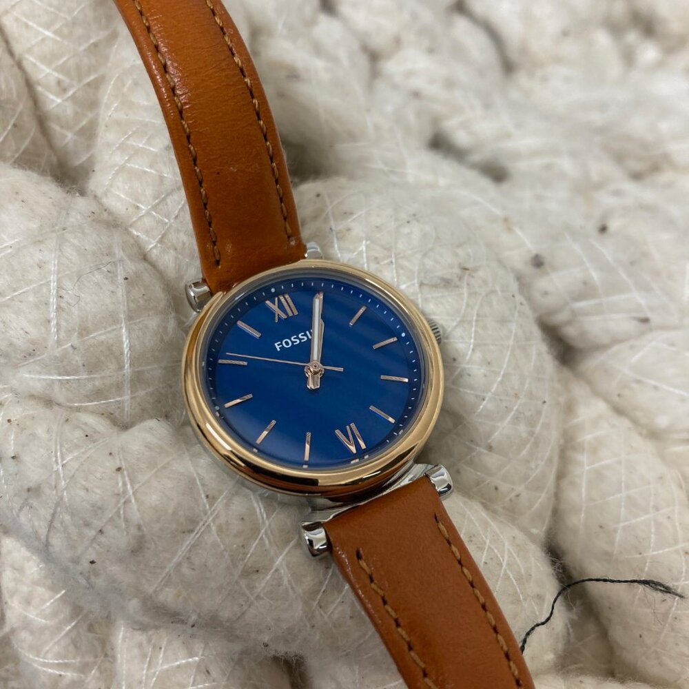 FOSSIL WATCH